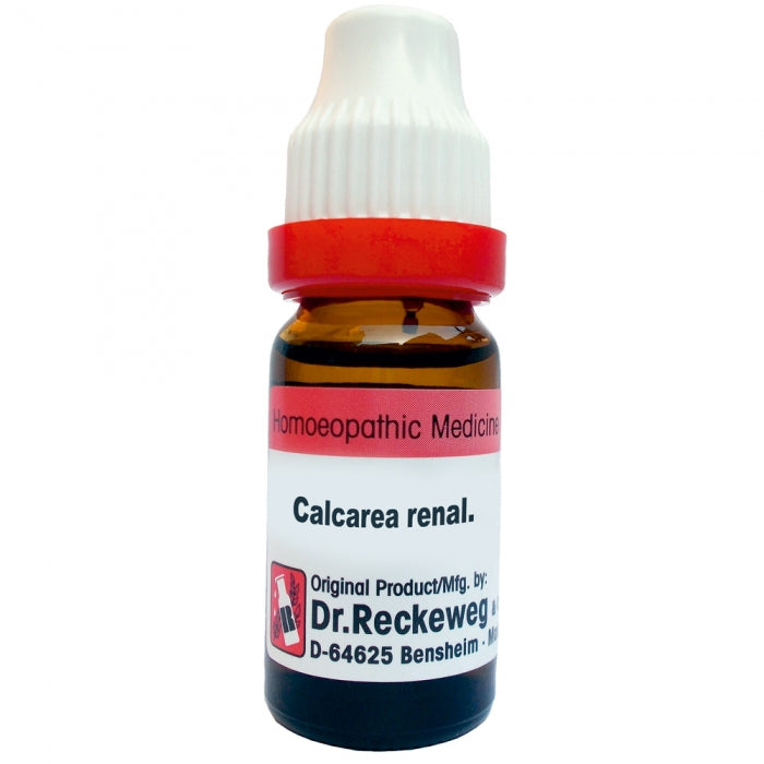 Calcarea Renal 11ml Dilutions