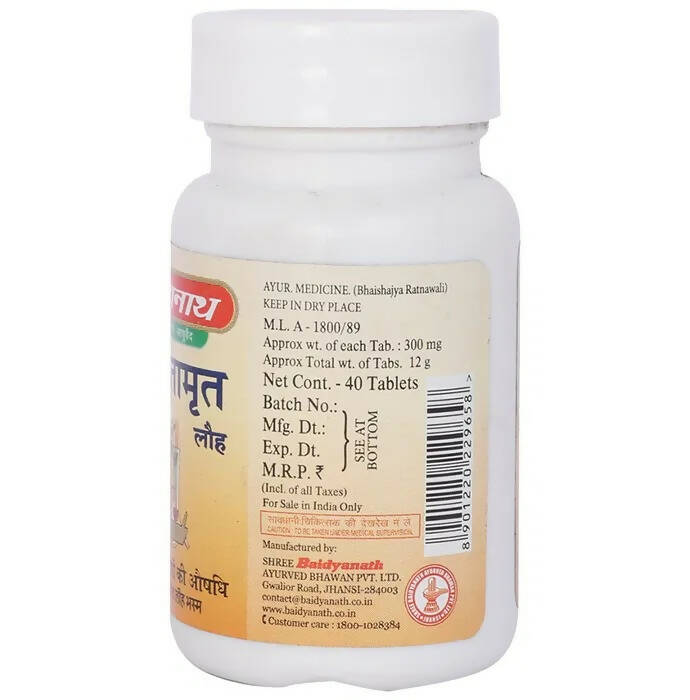 Baidyanath Jhansi Saptamrit Lauh Tablets