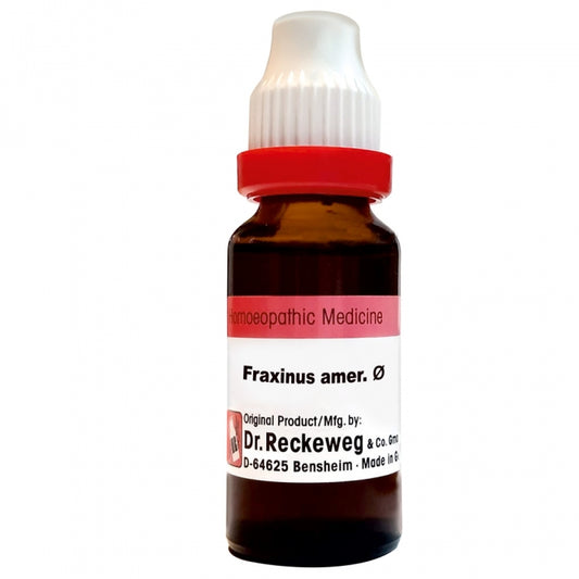 Fraxinus Amer Q