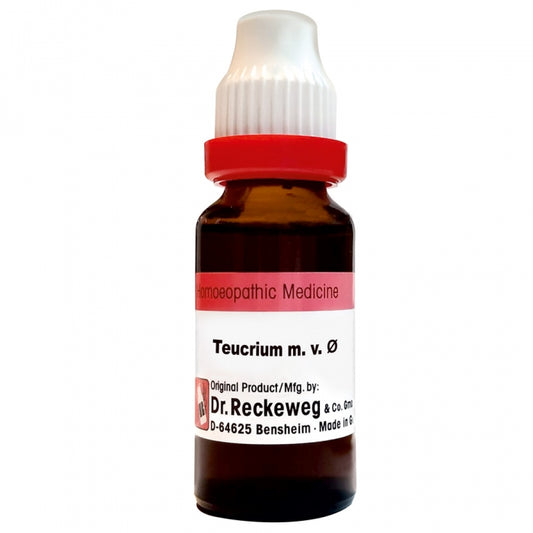 Teucrium mar. Q