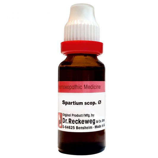 Spartium Scop Q