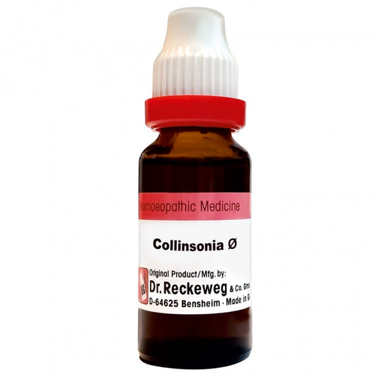 Collinsonia Q
