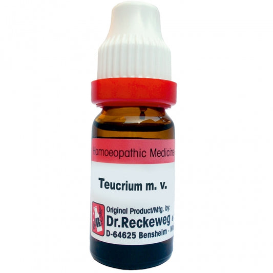 Teucrum M.V. 11ml Dilutions  