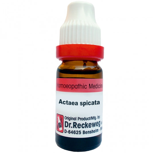 Actaea Spicata 11ml Dilutions  